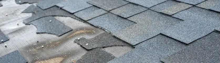 Damaged shingles with missing sections on roof, requiring repair.